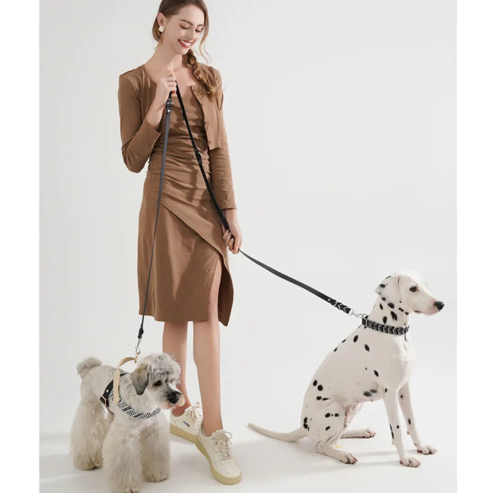 Laisse Réglable Multifonction Chien - Design Tressé Noir
