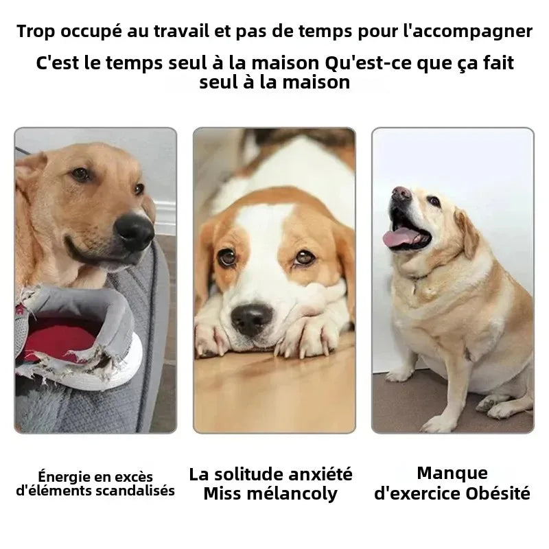 Lanceur de Balles de Tennis Automatique pour Chiens – Jouet Interactif - Rechargeable