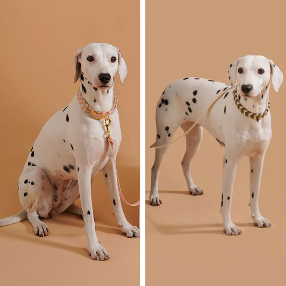 Fashion Dog Collar - White Braided Design