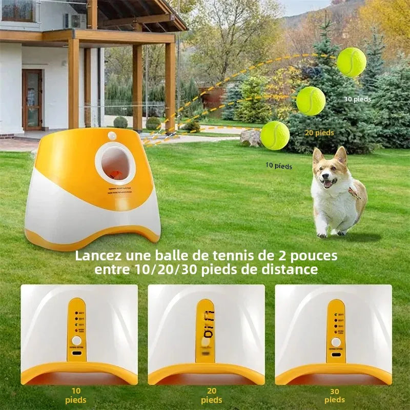 Lanceur de Balles de Tennis Automatique pour Chiens – Jouet Interactif - Rechargeable