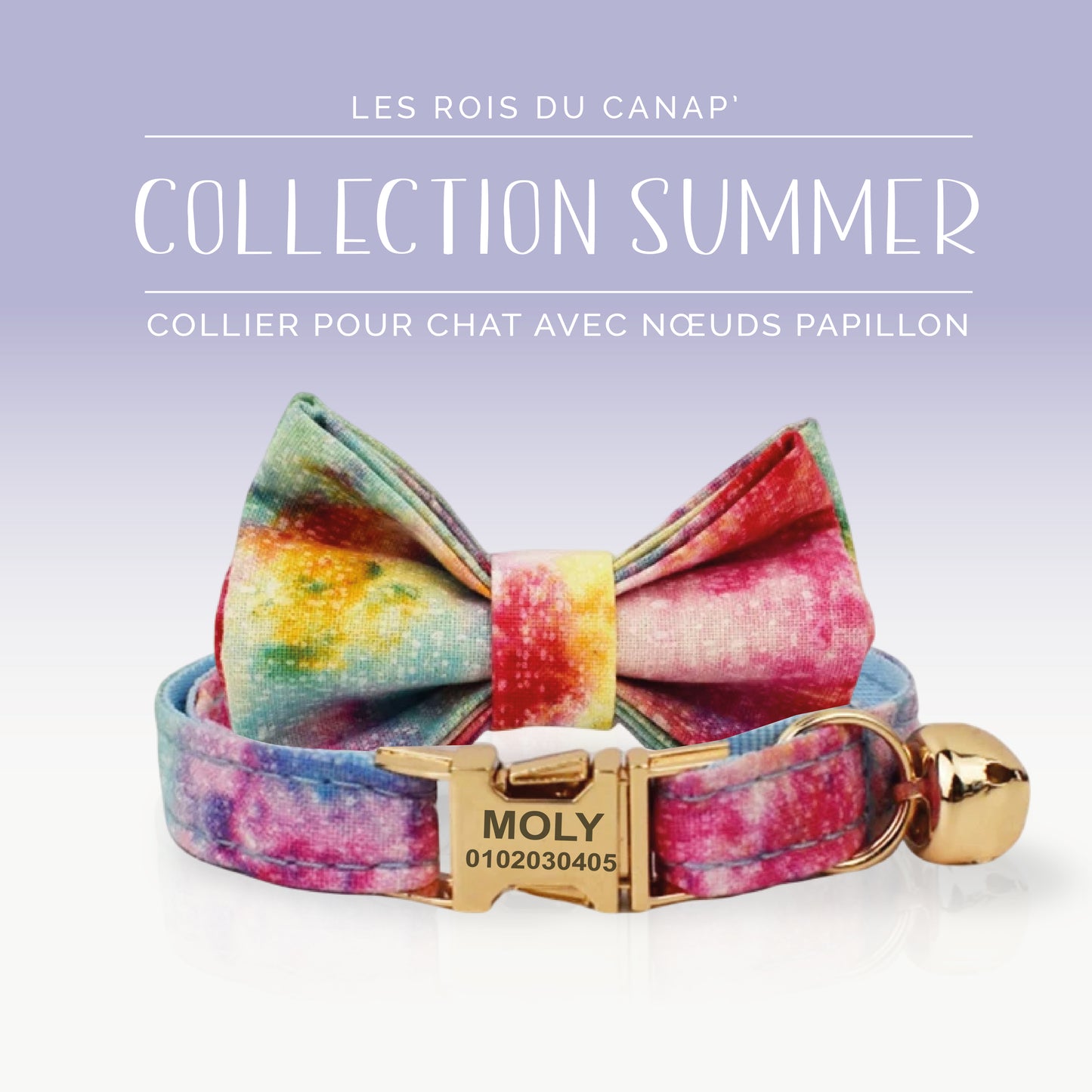 Collier Chats personnalisé avec Nœud - Summer - Arc en Ciel