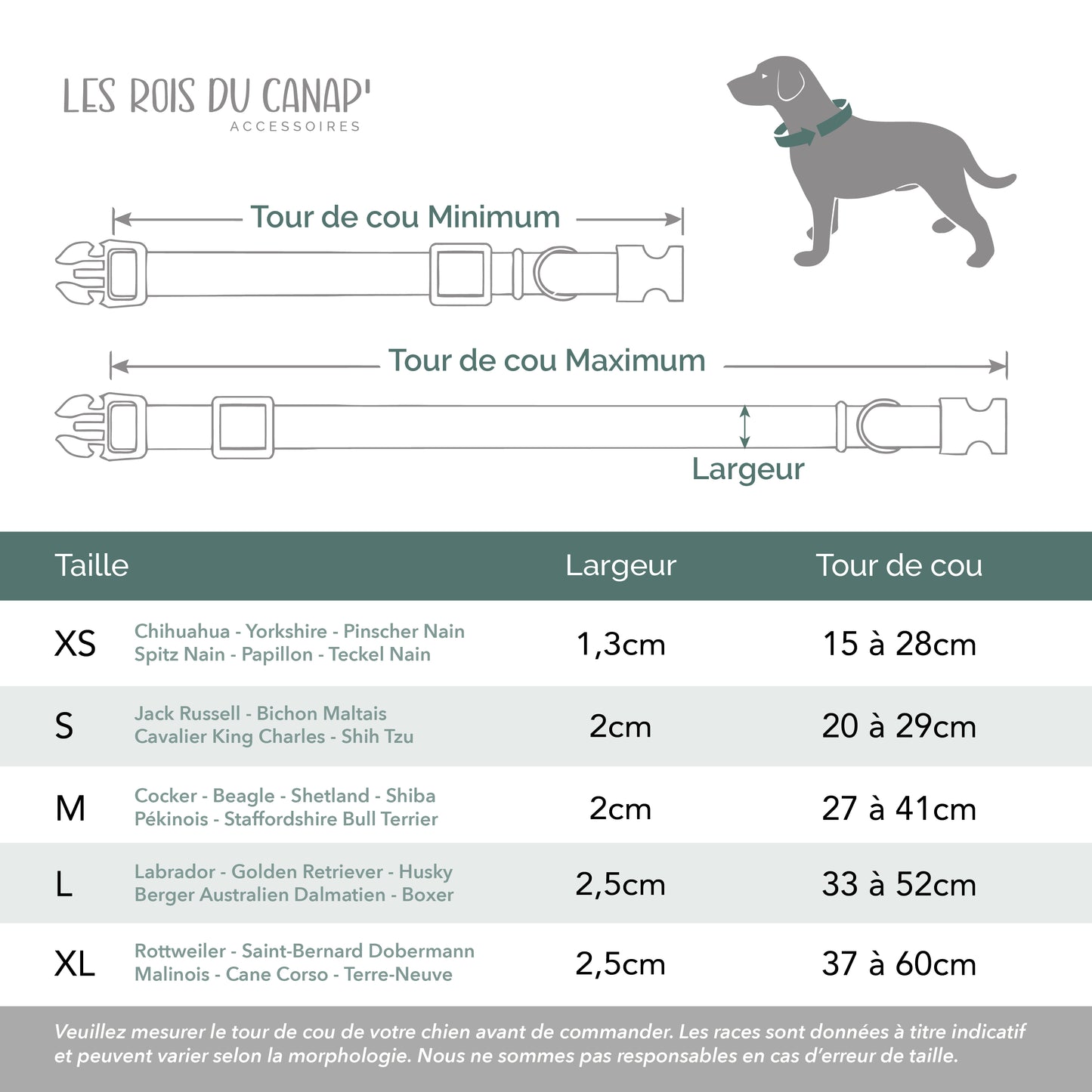 Collier Chien Personnalisé - Basics- Noir à Pois Blanc