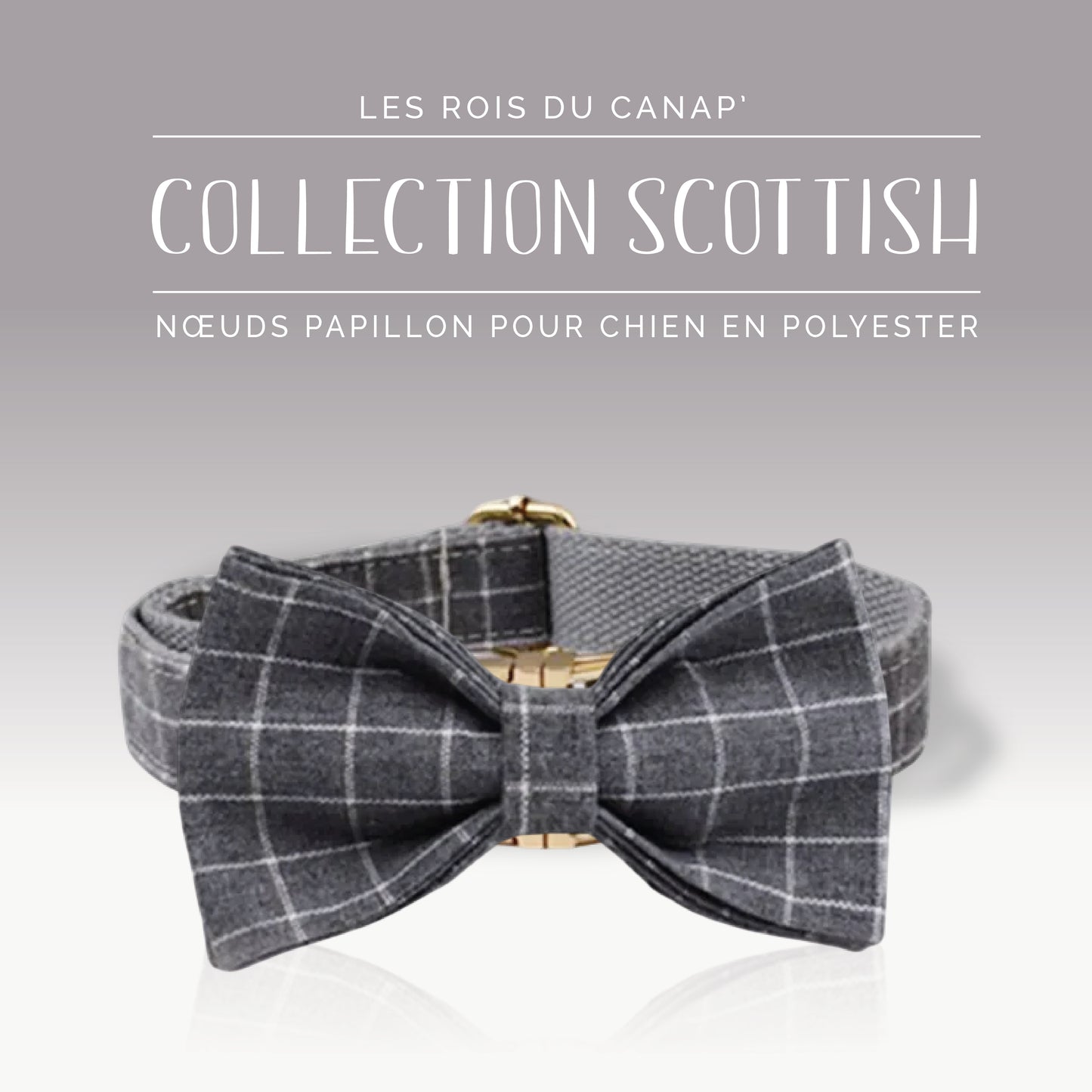 Nœud Papillon Chien - Scottish - Gris - Collier Nœud Papillon Chien - Scottish - Gris