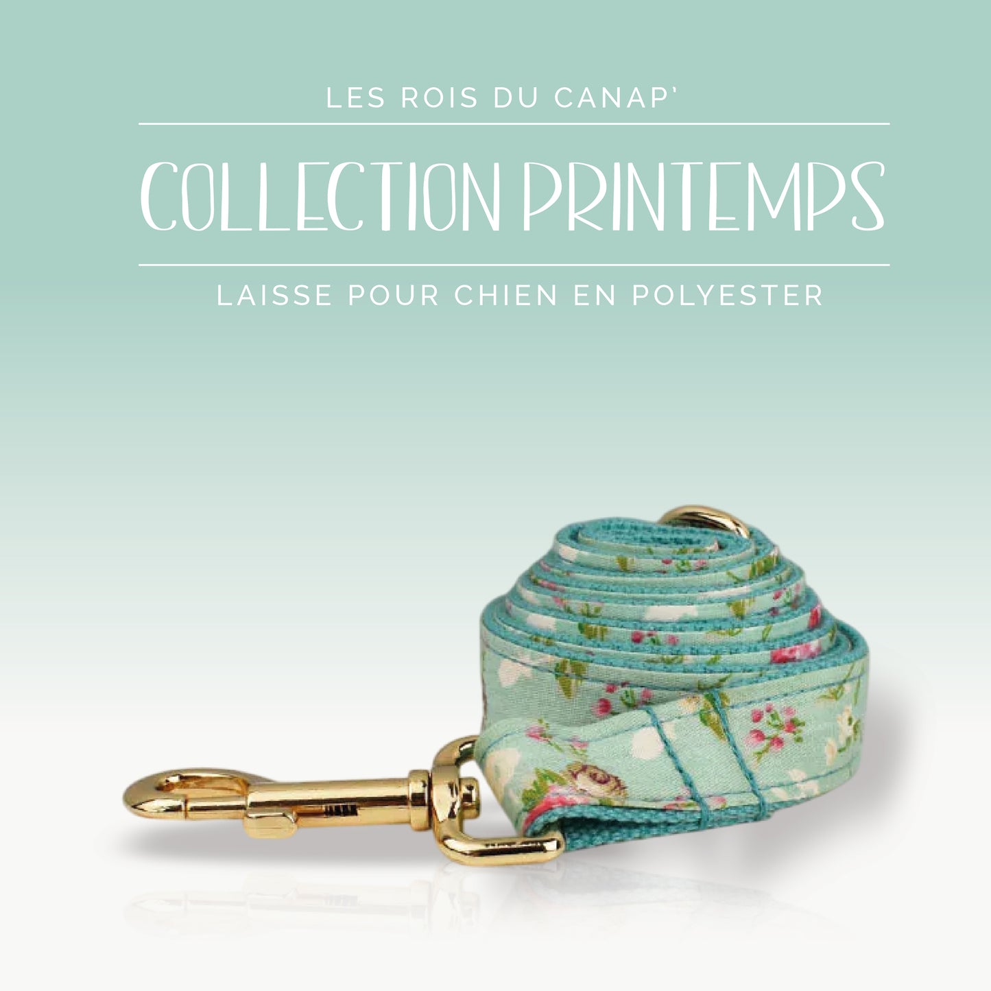 Laisse Chien - Printemps - Bleu et Rose à fleurs - Collier Laisse Chien - Printemps - Bleu et Rose à fleurs