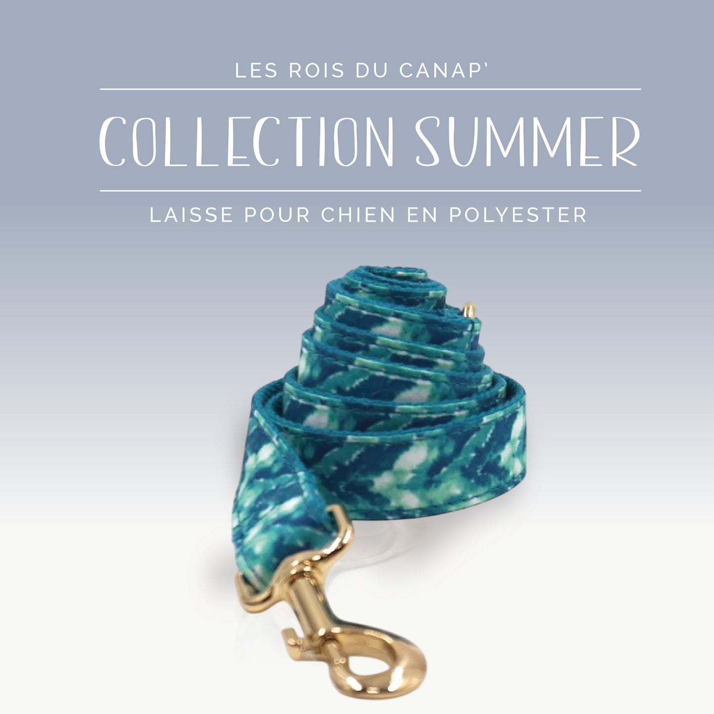 Laisse Chien - Summer - Océan - Collier Laisse Chien - Summer - Océan