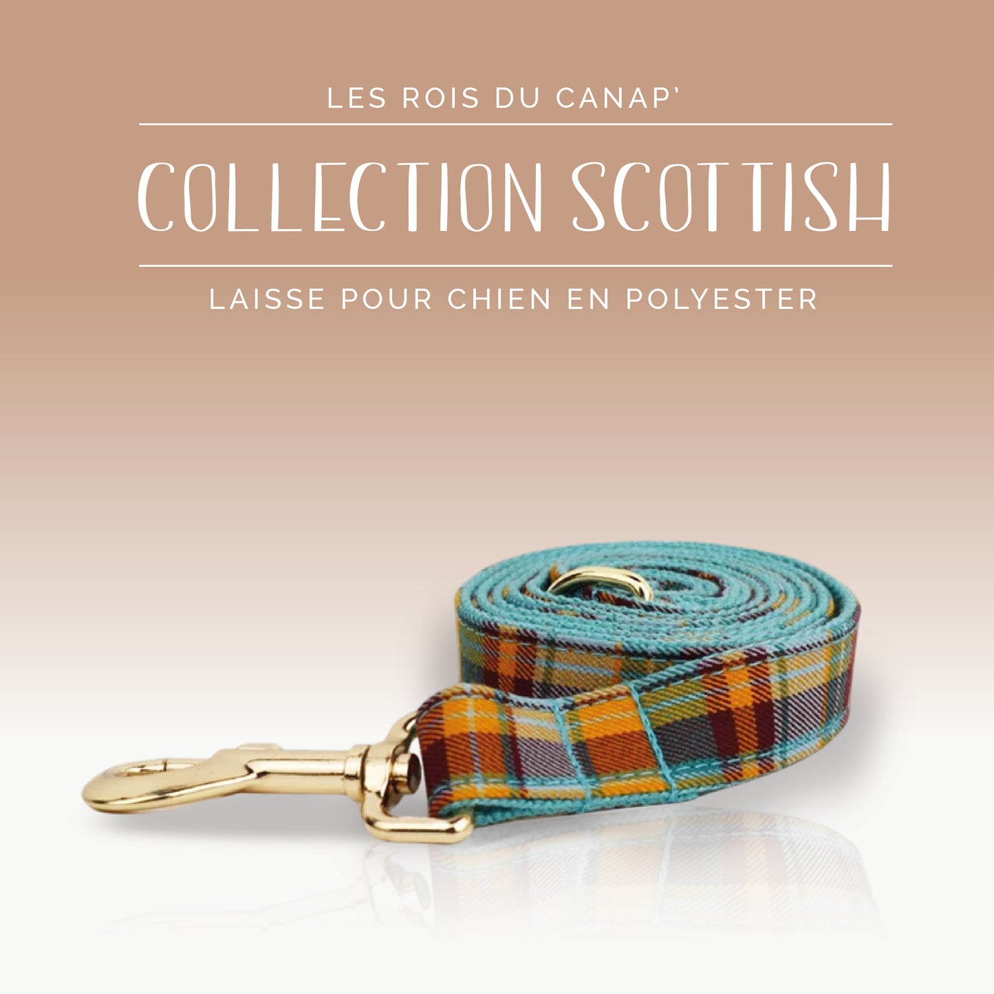 Laisse Chien - Scottish - Orange et Bleue - Collier Laisse Chien - Scottish - Orange et Bleue