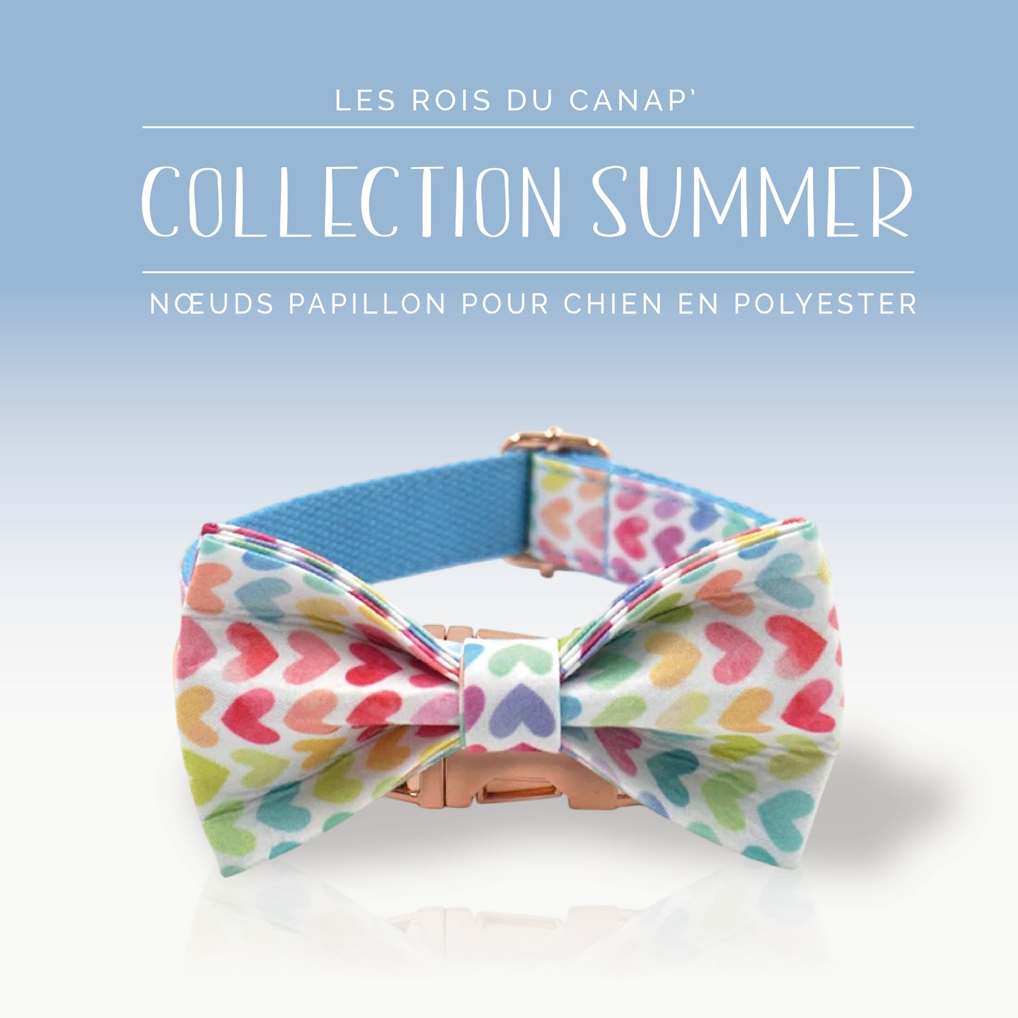 Nœud Papillon Chien - Summer - Cœur Colorés