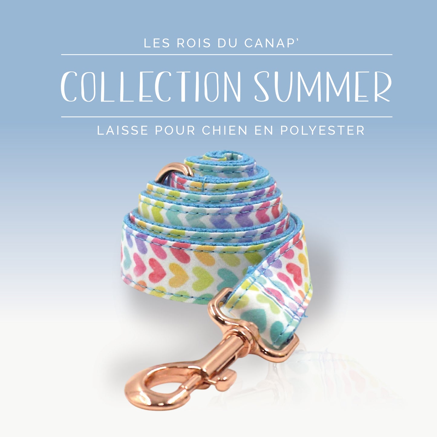 Laisse Chien - Summer - Cœur Colorés - Collier Laisse Chien - Summer - Cœur Colorés