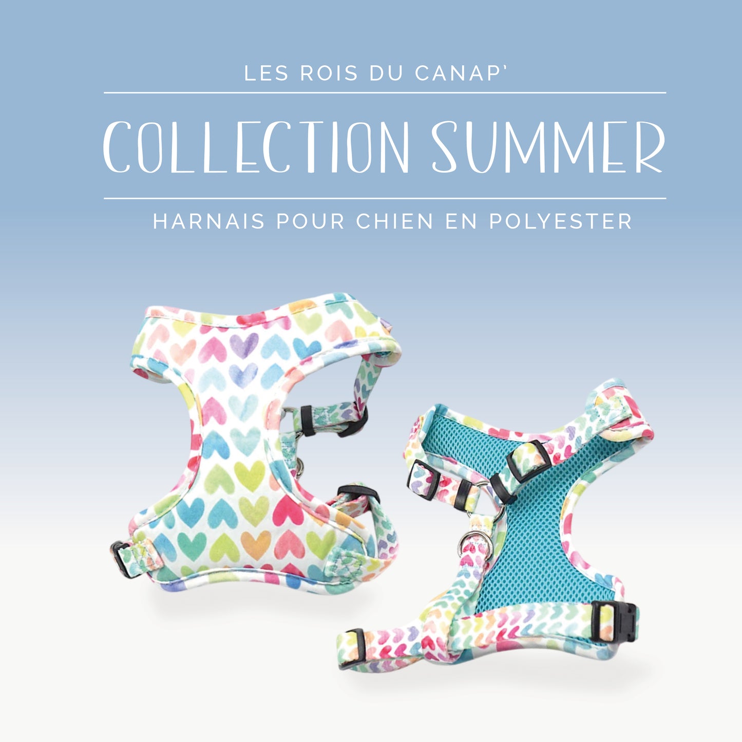 Harnais Chien - Summer - Cœur Colorés - Collier Harnais Chien - Summer - Cœur Colorés