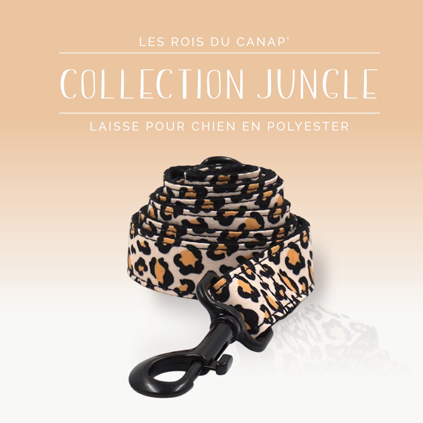 Laisse Chien - Jungle - Léopard Noir - Collier Laisse Chien - Jungle - Léopard Noir