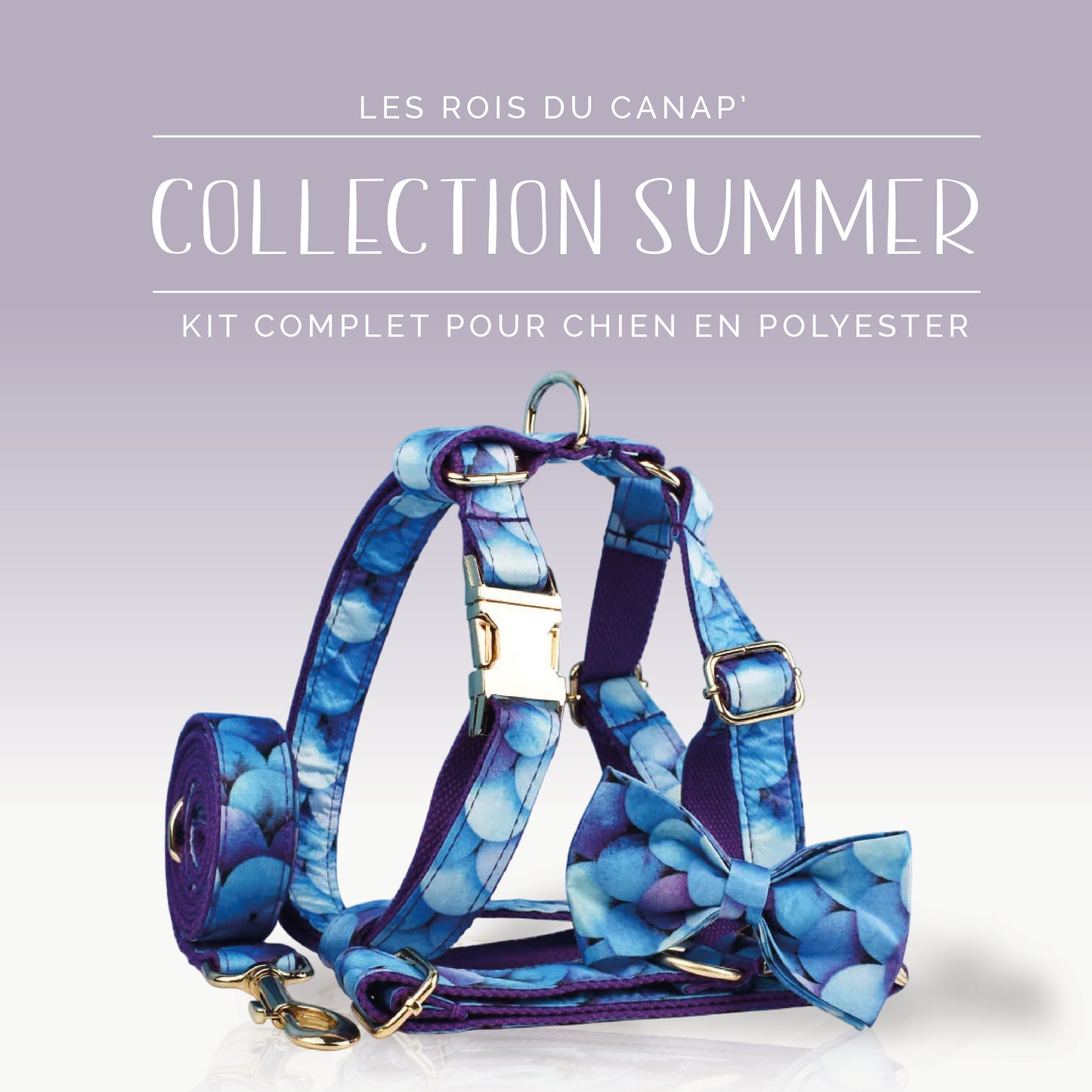 Kit Complet Chien 4 pièces - Summer - Bulle Bleue