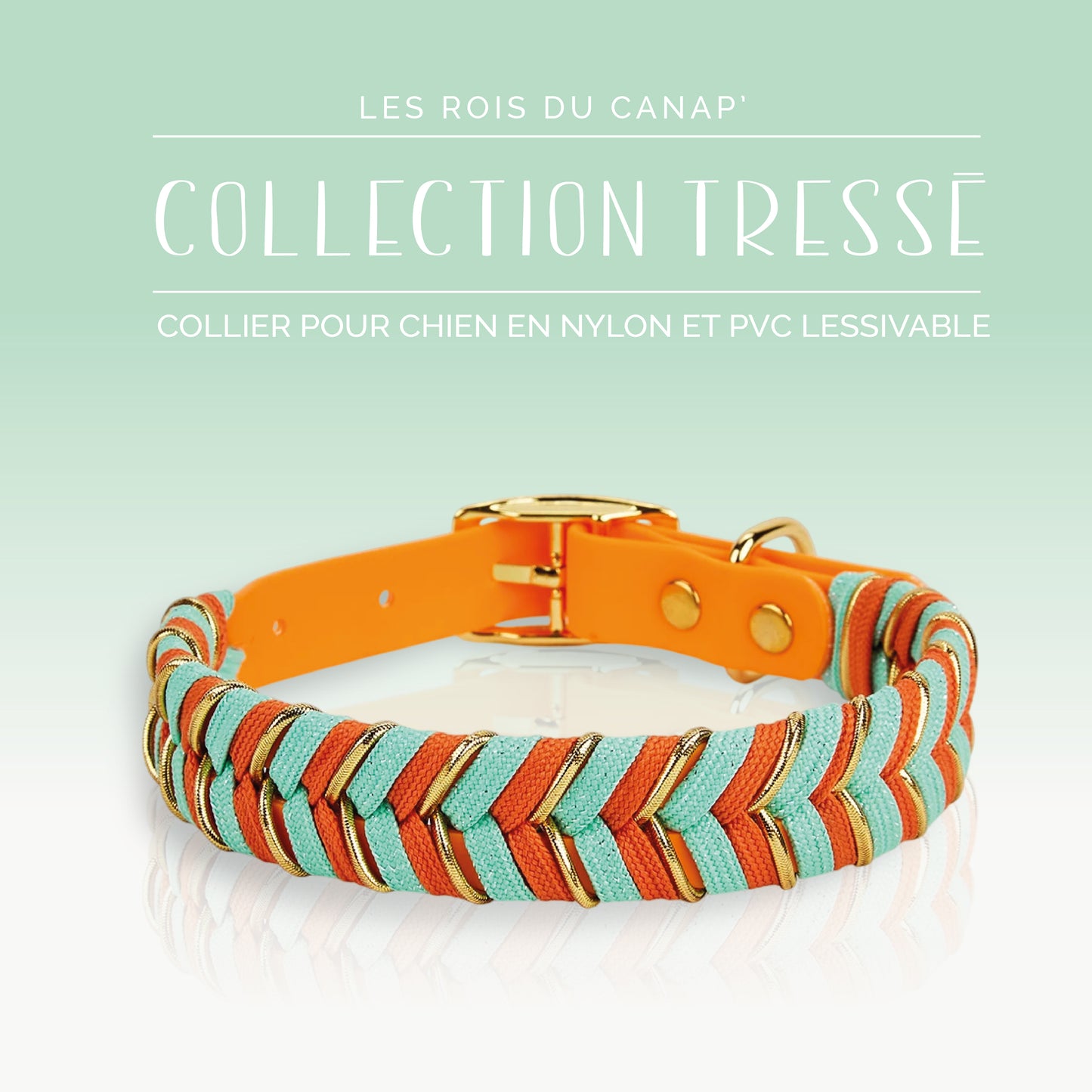 Fashion Dog Collar - Orange and Blue Braided Design