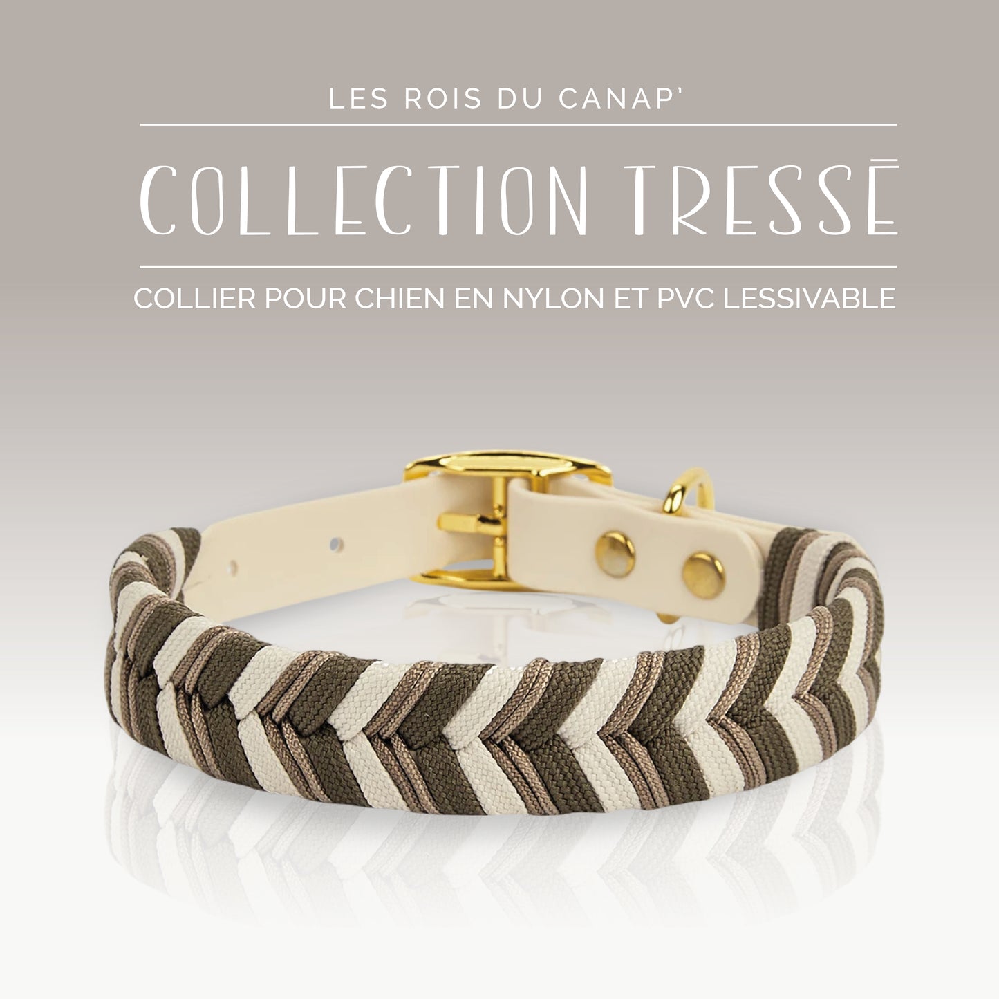 Fashion Dog Collar - White Braided Design