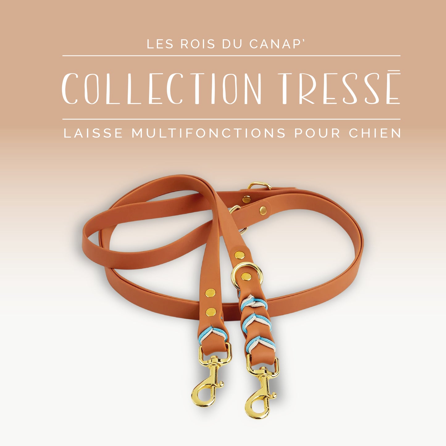 Laisse Réglable Multifonction Chien - Design Tressé Marron