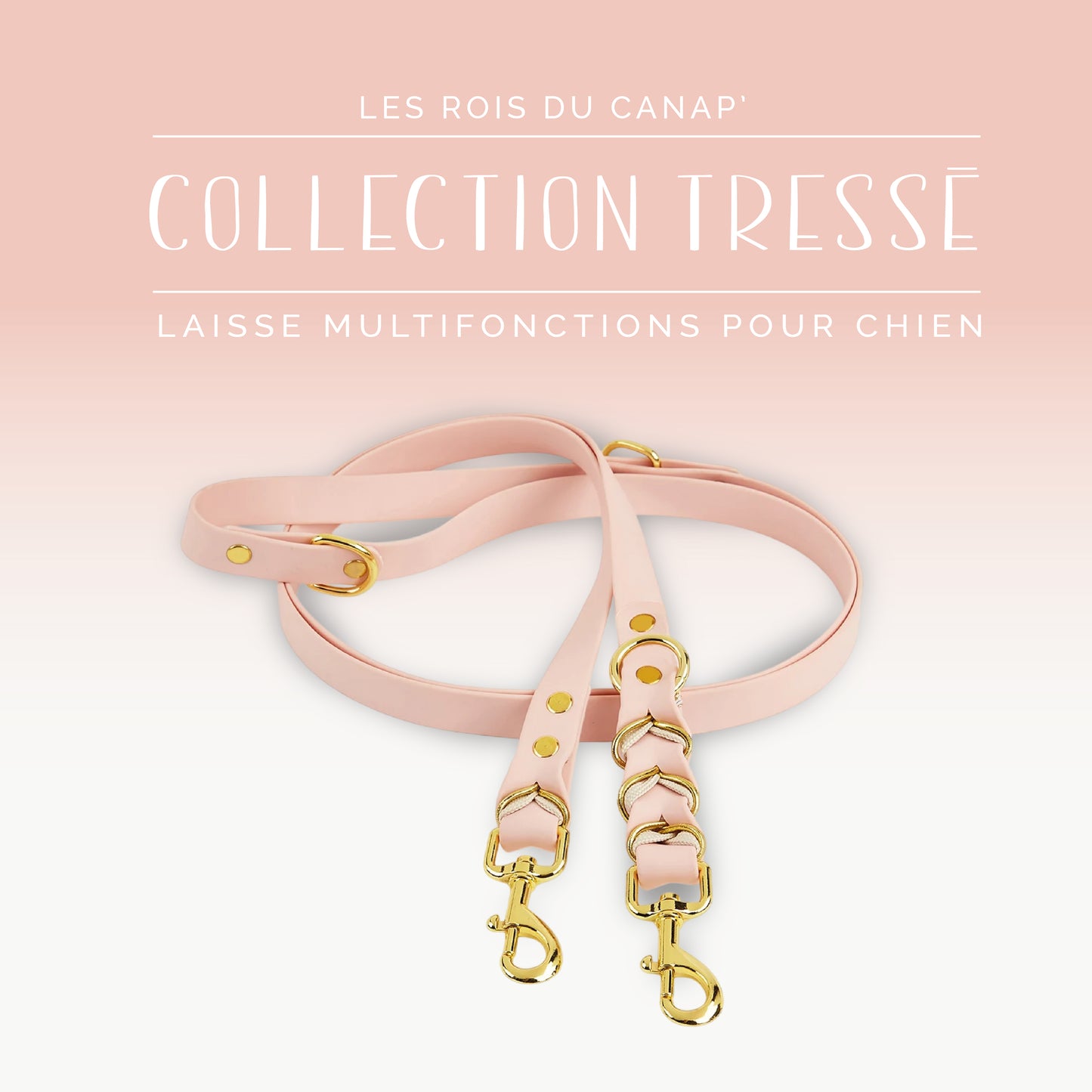 Laisse Réglable Multifonction Chien - Design Tressé Rose