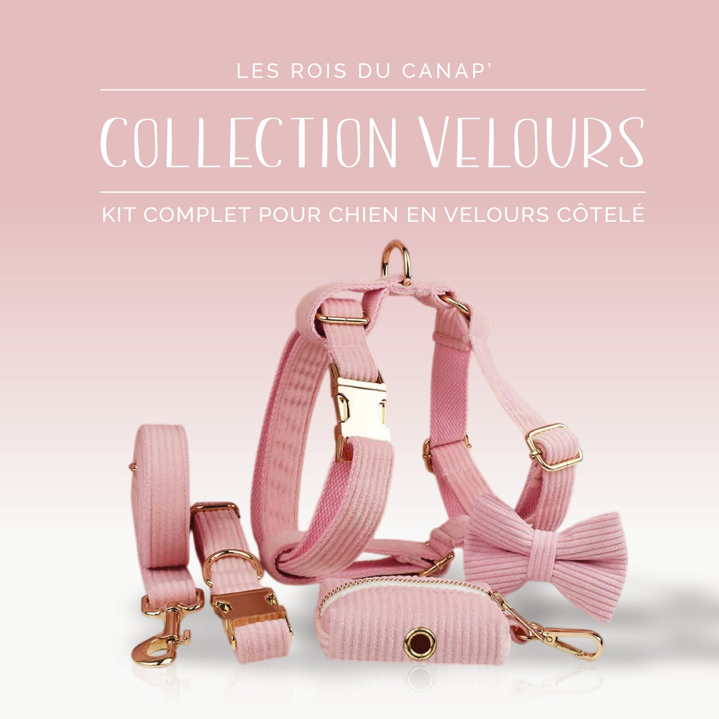 Kit Complet Chien 5 pièces - Velours - Rose Bonbon