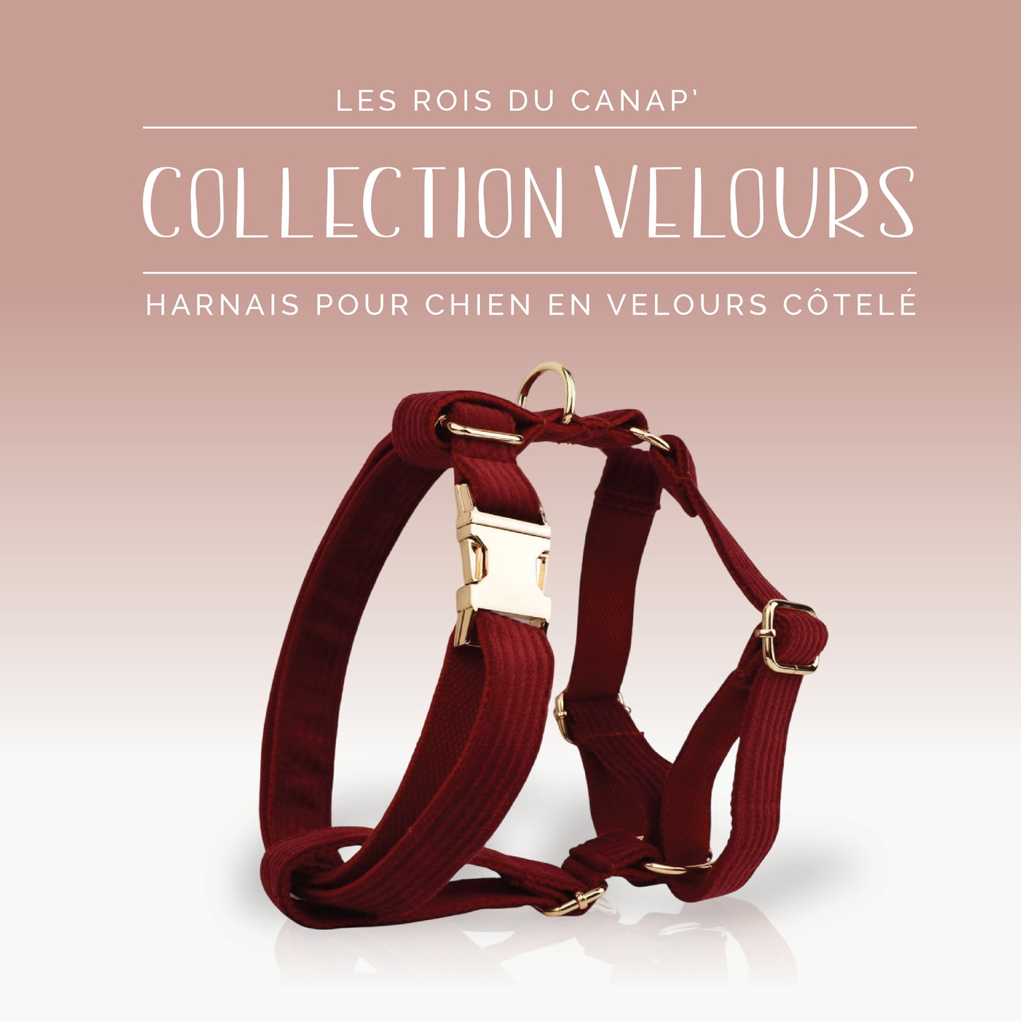 Harnais Chien - Velours - Rouge - Collier Harnais Chien - Velours - Rouge