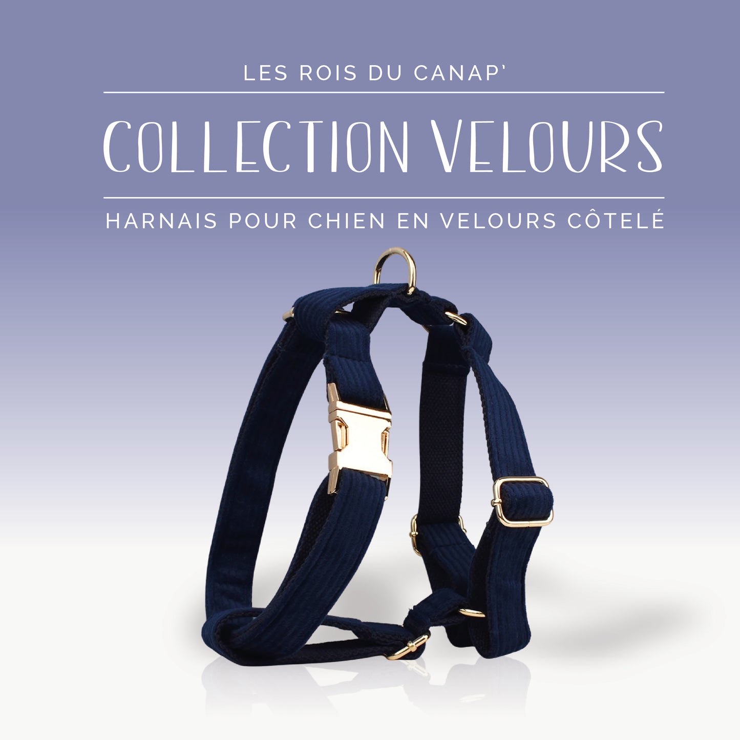 Harnais Chien - Velours - Bleu Marine - Collier Harnais Chien - Velours - Bleu Marine