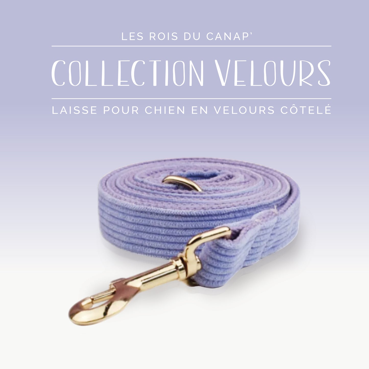 Laisse Chien - Velours - Violet Mauve - Collier Laisse Chien - Velours - Violet Mauve