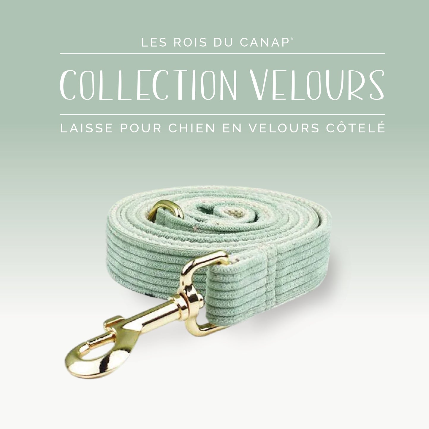 Laisse Chien - Velours - Vert Clair - Collier Laisse Chien - Velours - Vert Clair