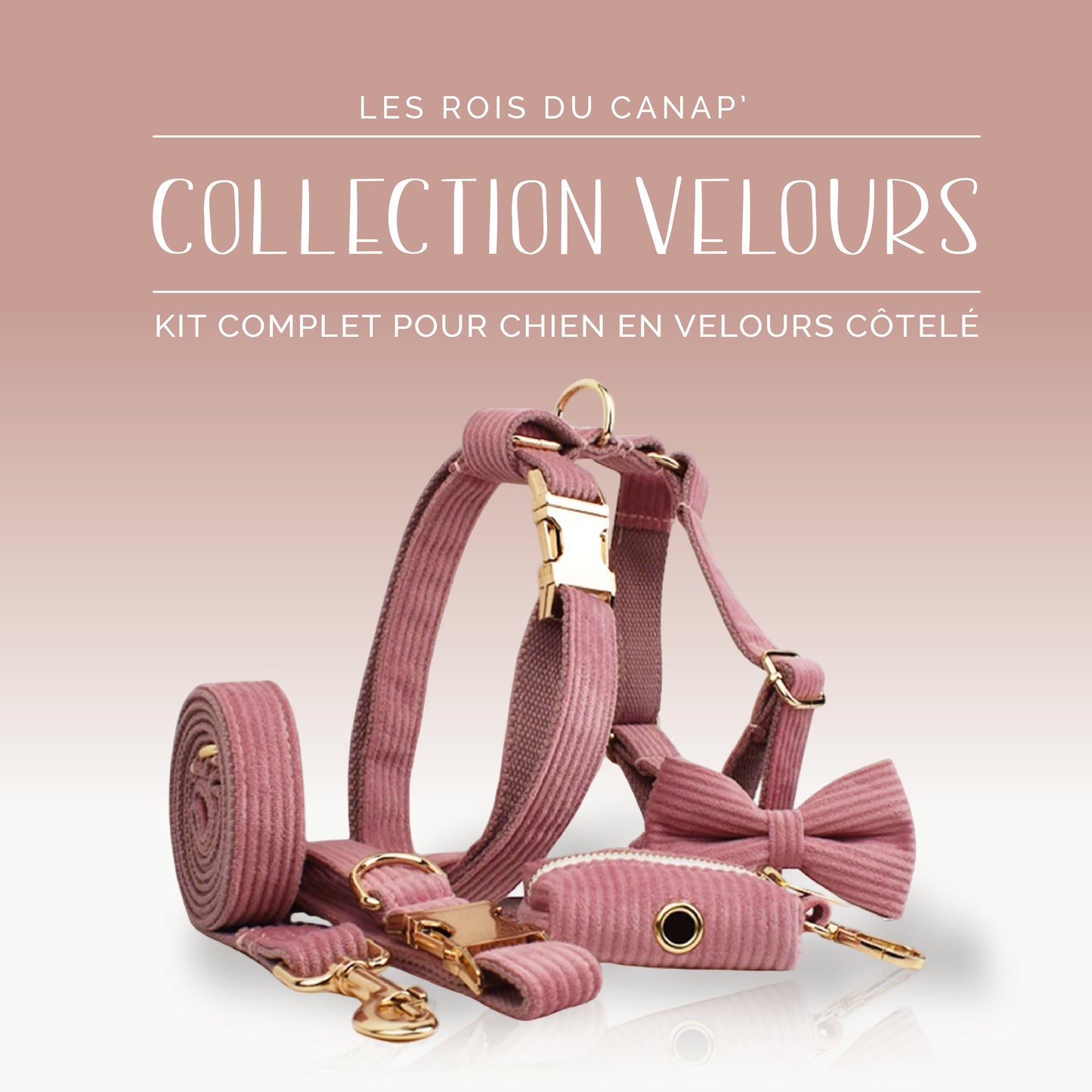 Kit Complet Chien 5 pièces - Velours - Rose Poudré