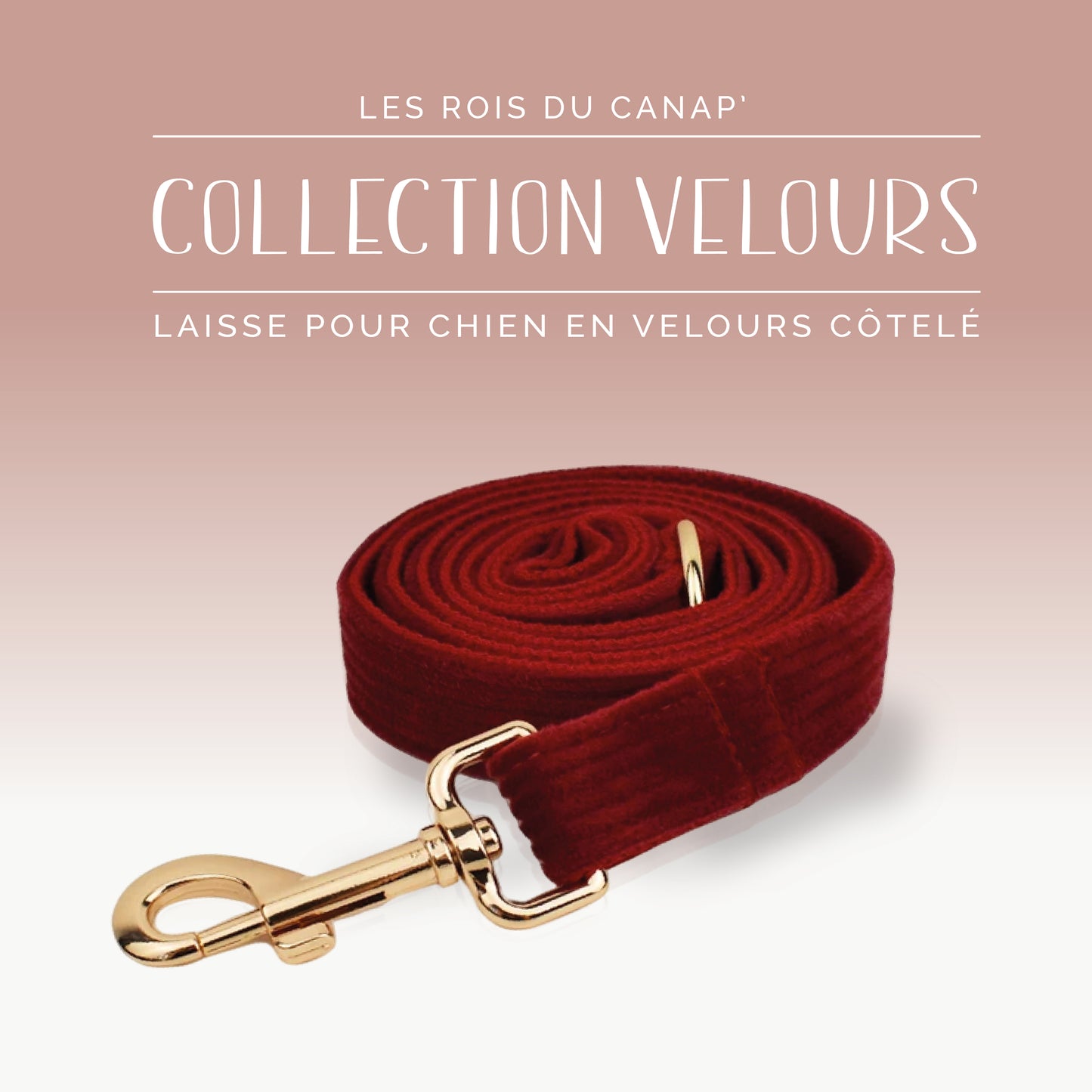 Laisse Chien - Velours - Rouge - Collier Laisse Chien - Velours - Rouge