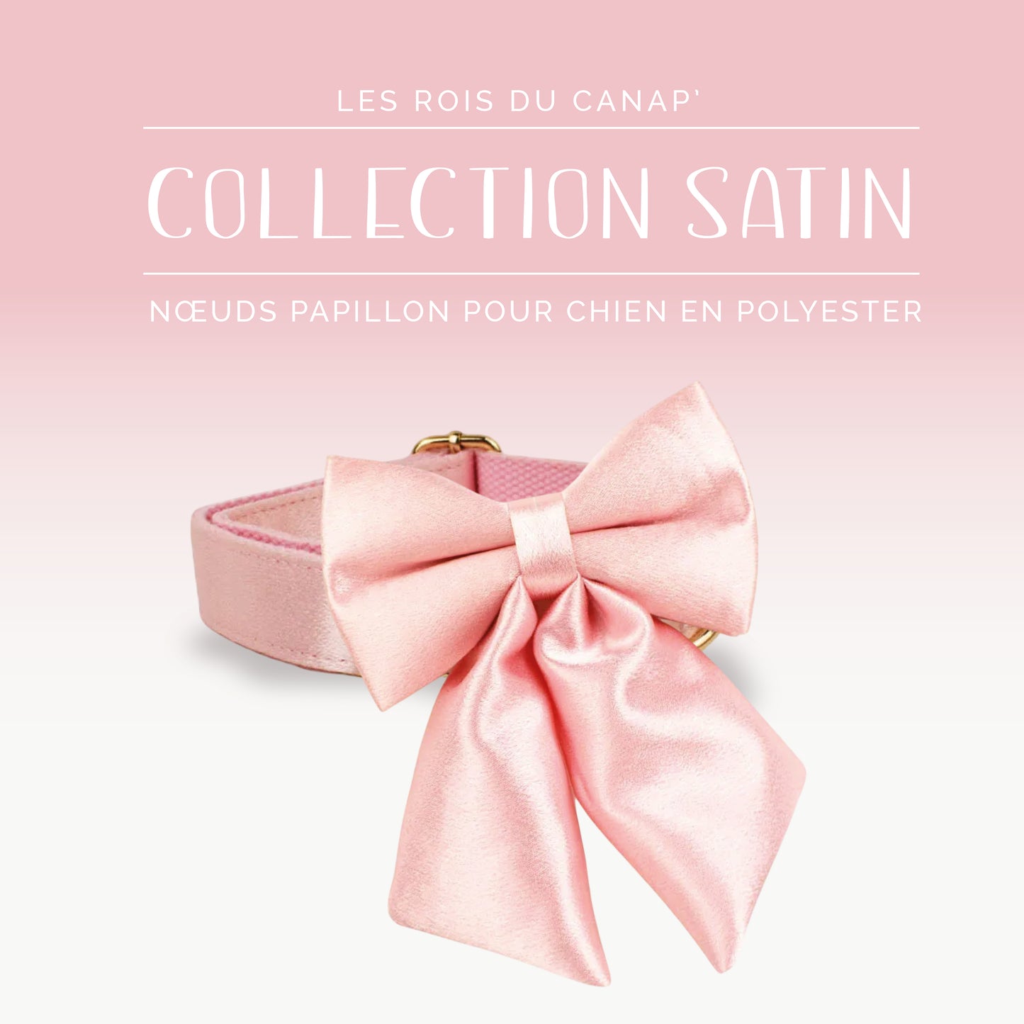 Nœud Papillon Chien - Satin - Rose - Collier Nœud Papillon Chien - Satin - Rose