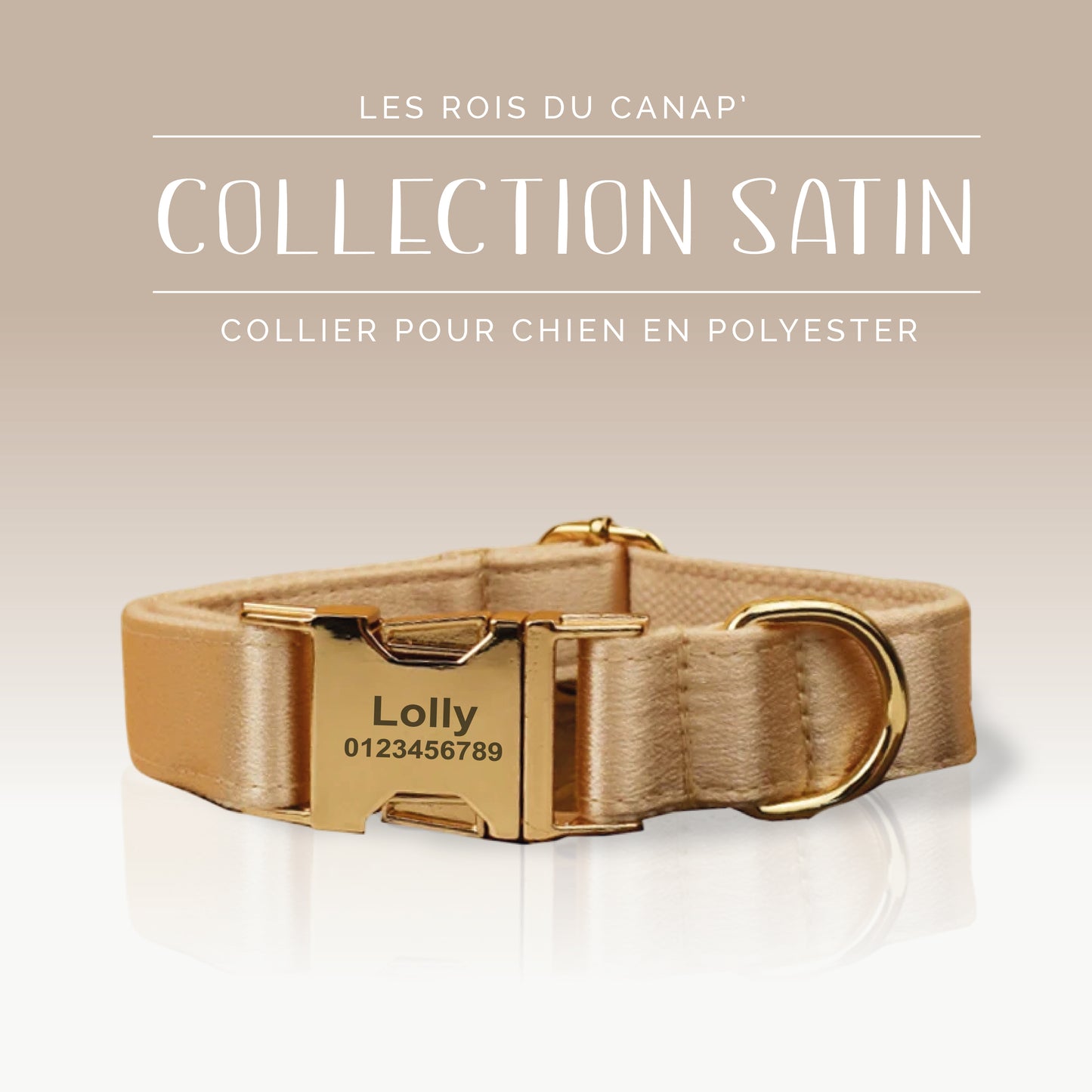 Collier Chien Personnalisé - Collection Satin Brillant - Or - Doré