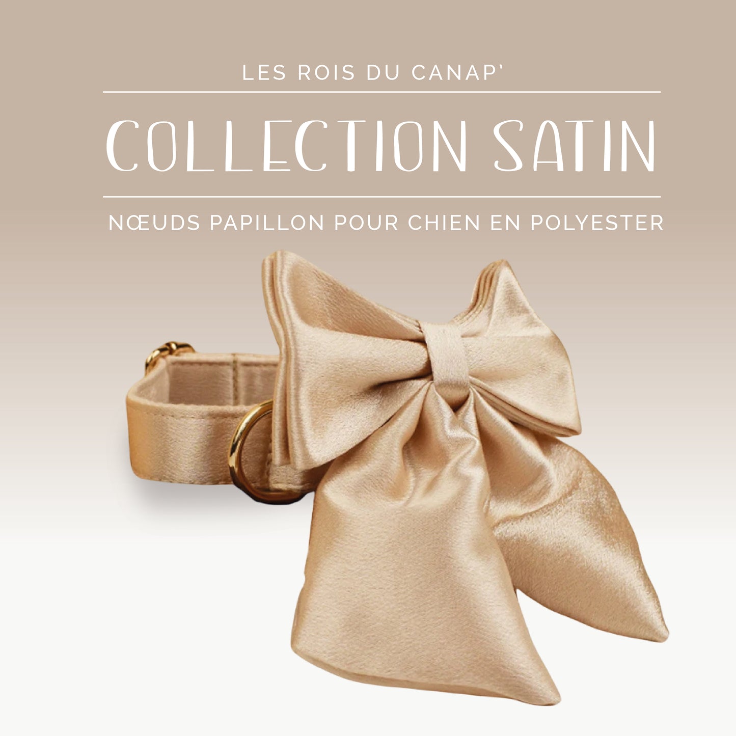 Nœud Papillon Chien - Satin - Doré
