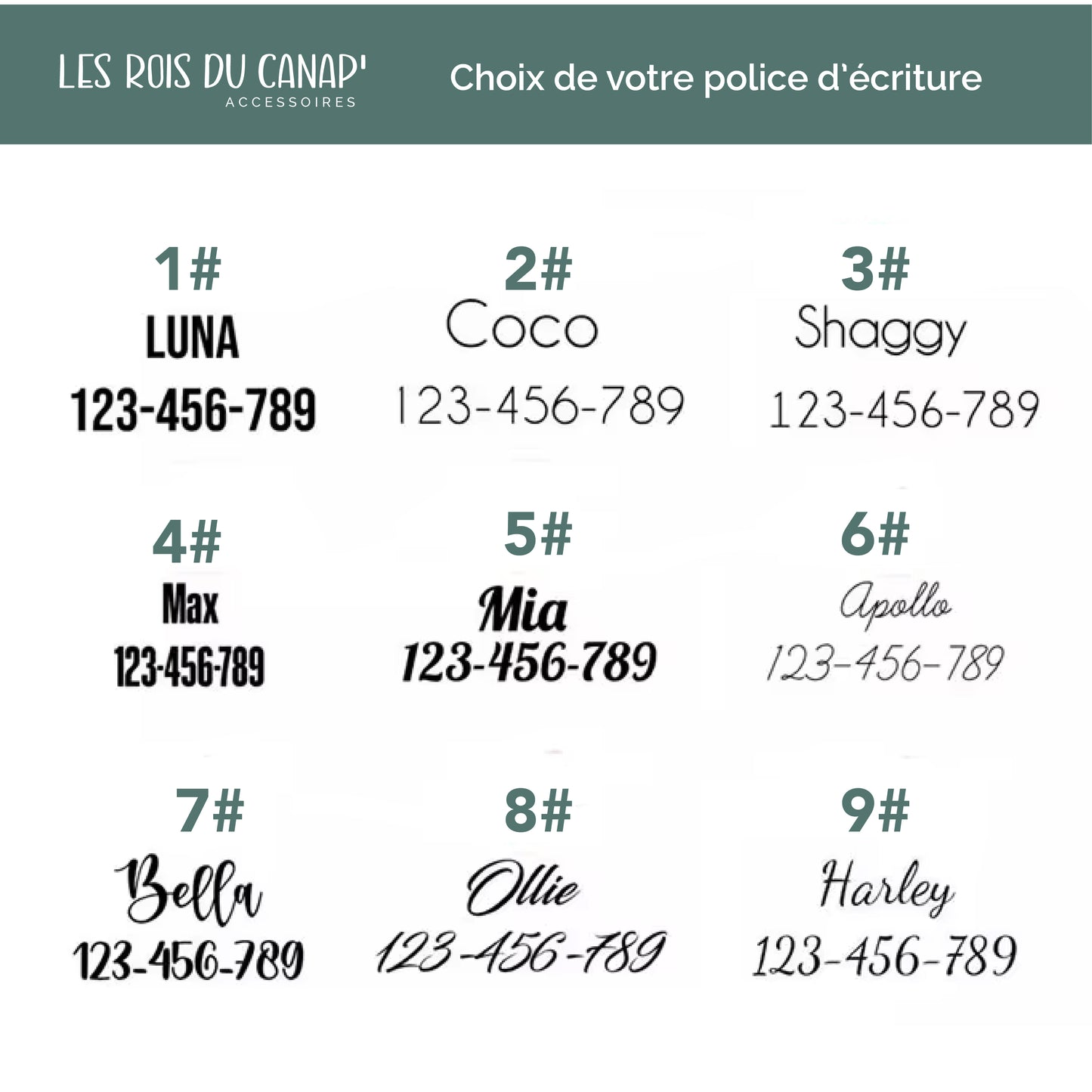 le rois du canap - collier personnalisé