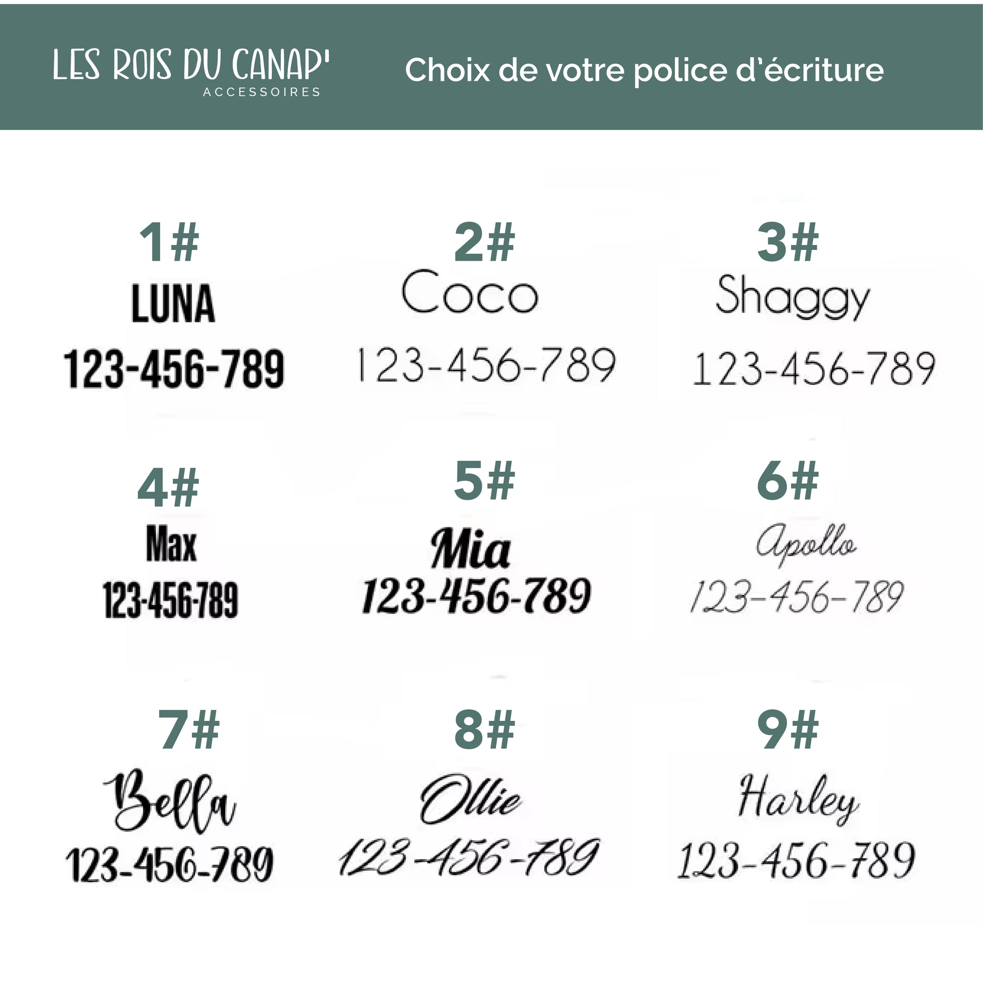 le rois du canap - collier personnalisé