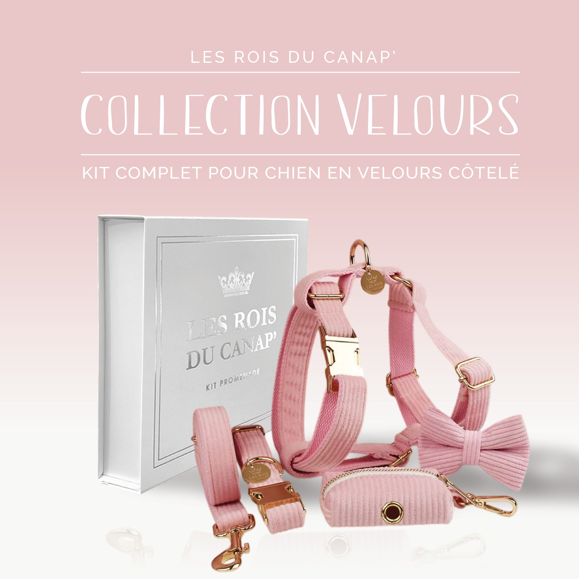 Coffret Cadeau - Kit Complet Promenade Chien - Velours - Rose bonbon (1)