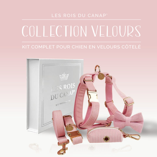 Coffret Cadeau - Kit Complet Promenade Chien - Velours - Rose bonbon (1)