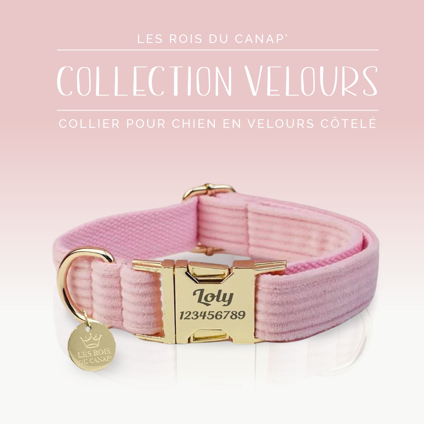 Coffret Cadeau - Kit Complet Promenade Chien - Velours - Rose bonbon (1)