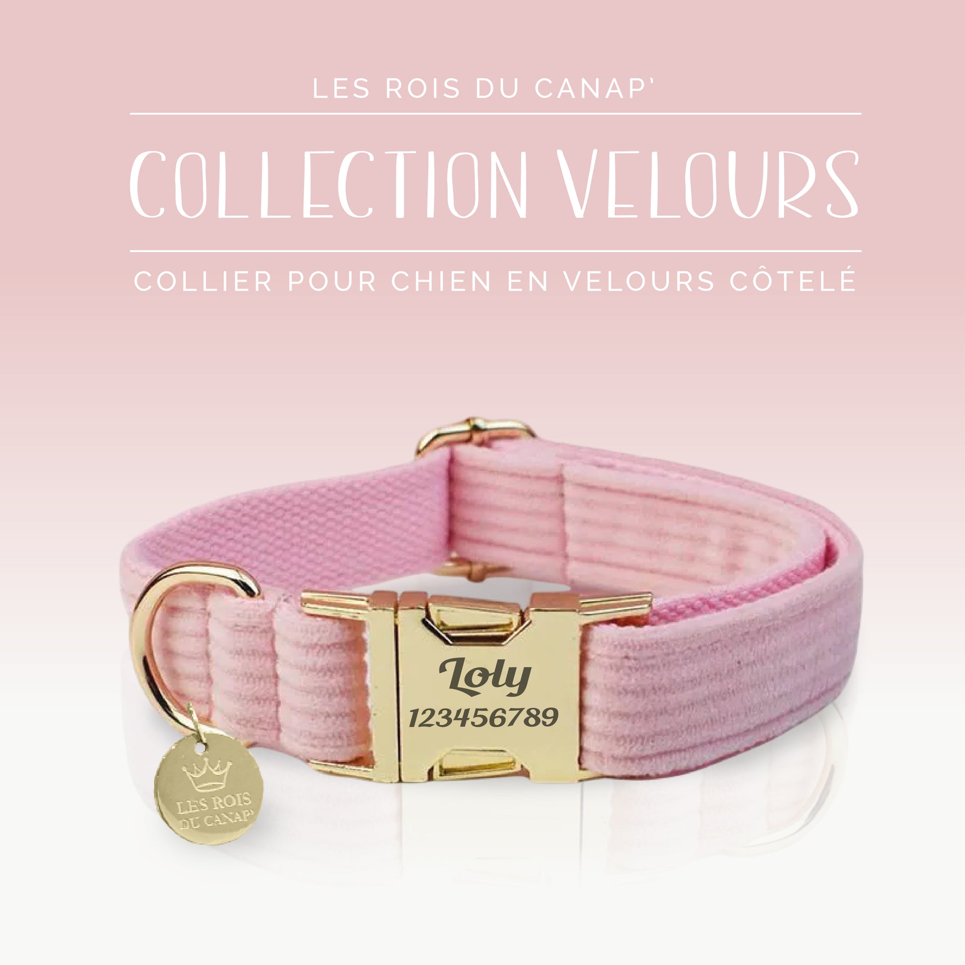 Coffret Cadeau - Kit Complet Promenade Chien - Velours - Rose bonbon (1)