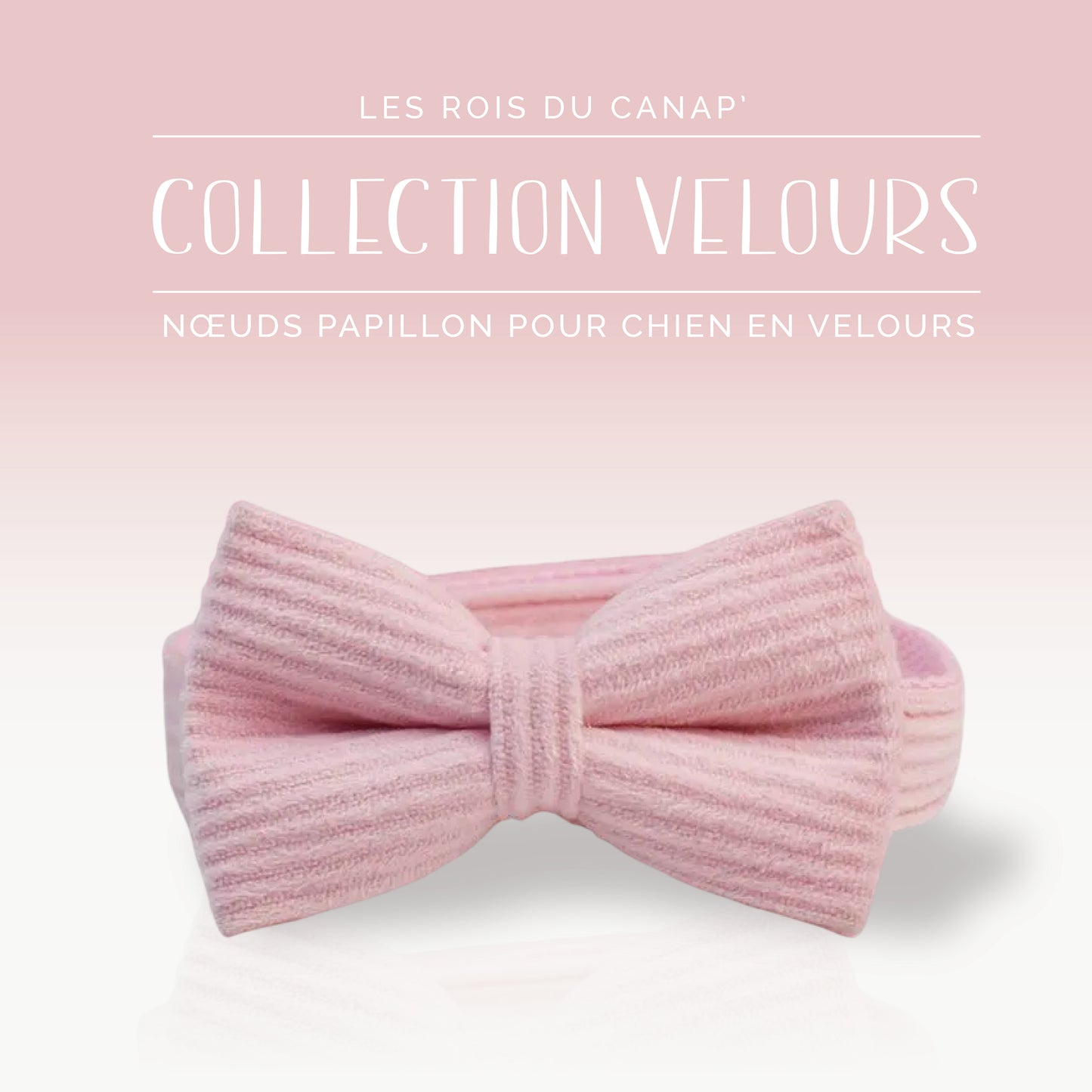 Coffret Cadeau - Kit Complet Promenade Chien - Velours - Rose bonbon (1)