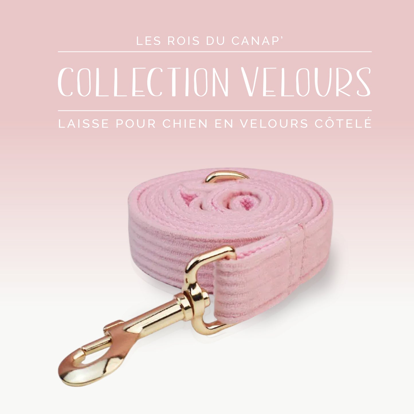 Coffret Cadeau - Kit Complet Promenade Chien - Velours - Rose bonbon (1)