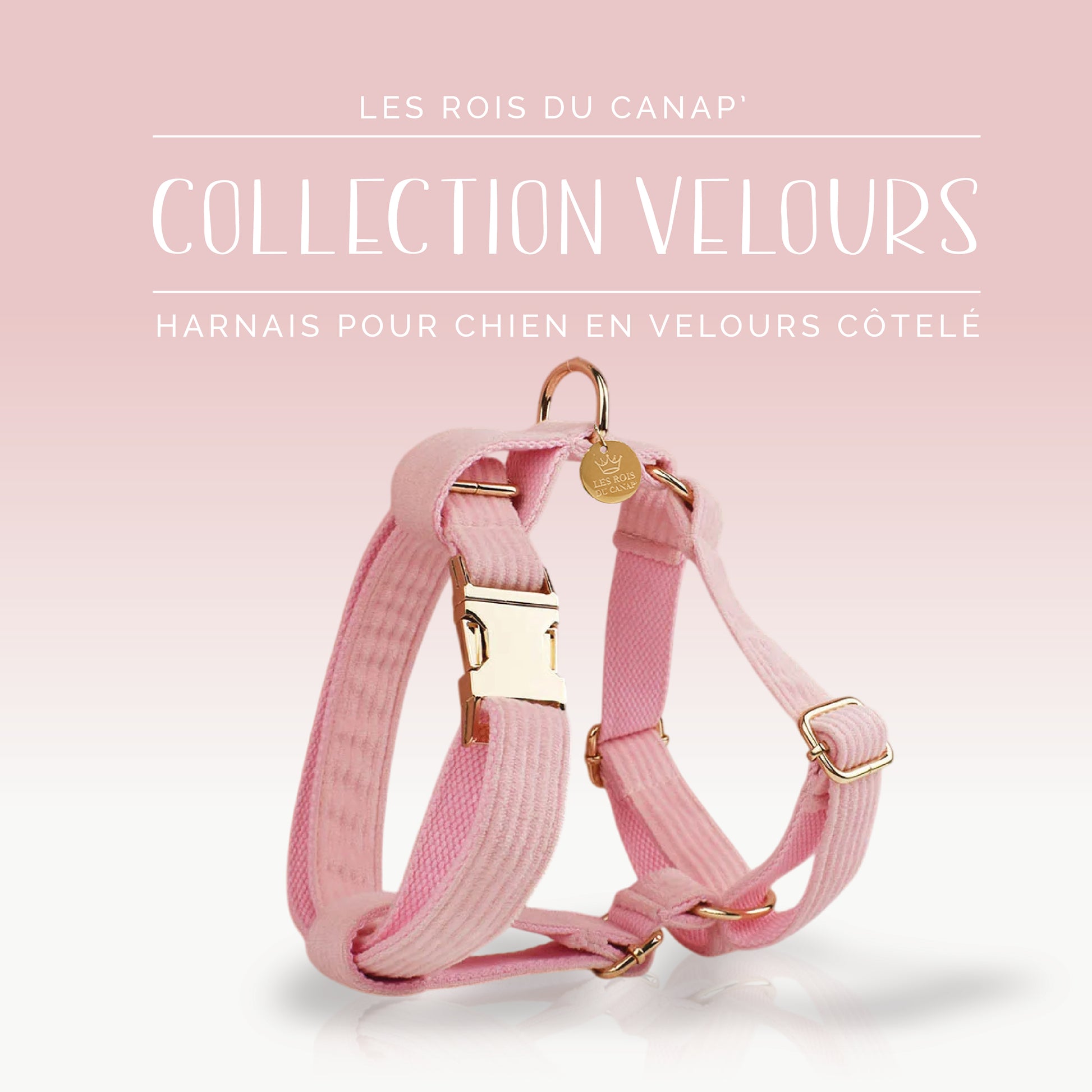 Coffret Cadeau - Kit Complet Promenade Chien - Velours - Rose bonbon (1)