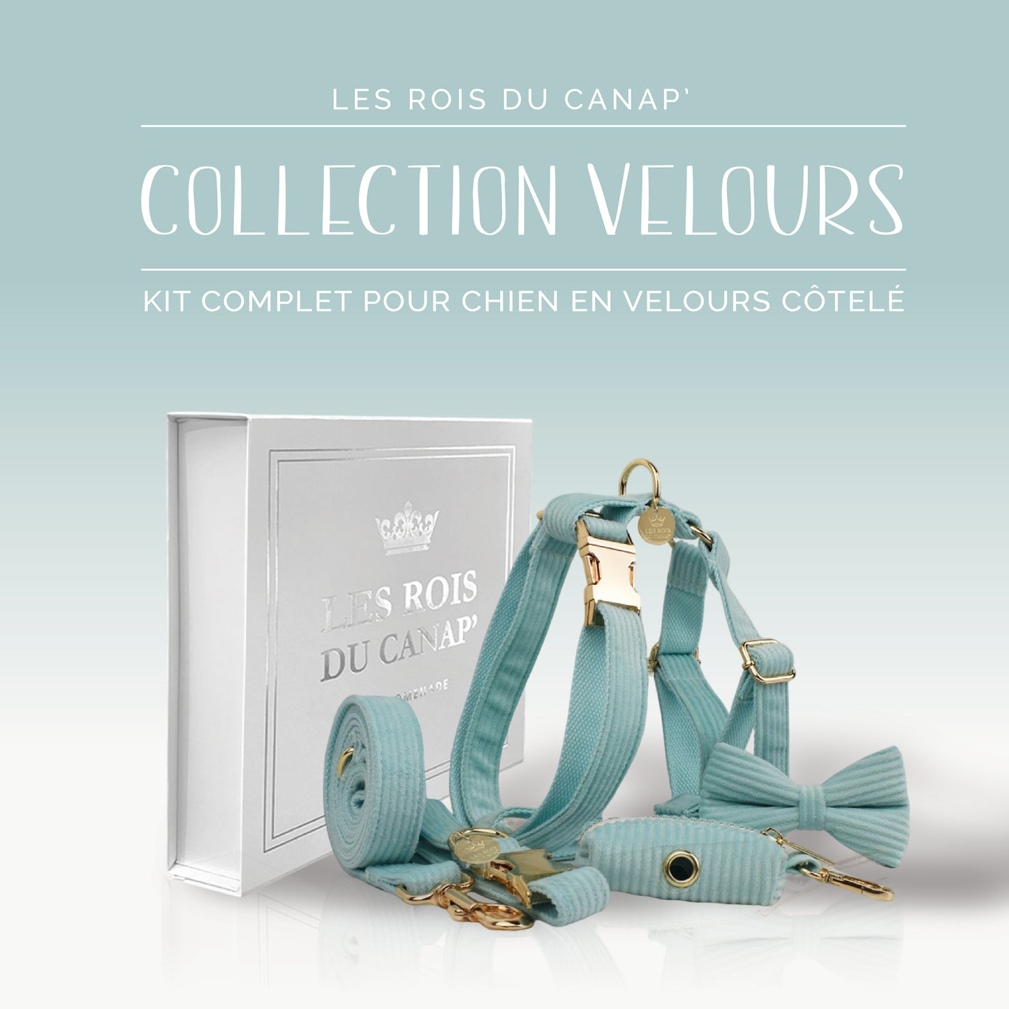 Coffret Cadeau - Kit Complet Promenade Chien - Velours - Vert Menthe