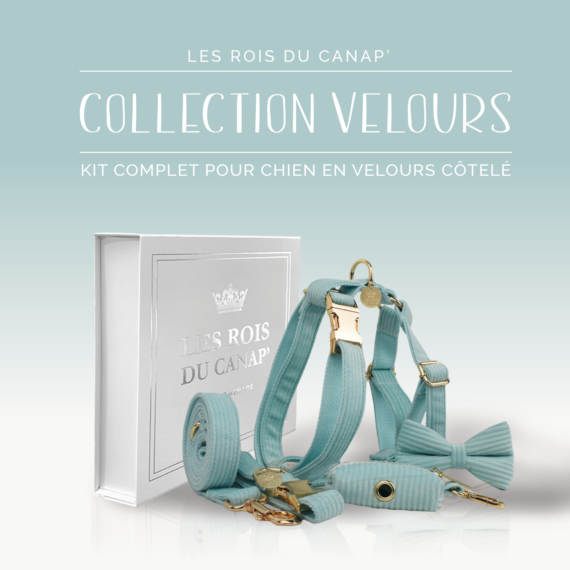 Coffret Cadeau - Kit Complet Promenade Chien - Velours - Vert Menthe