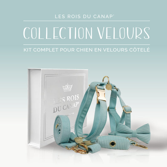 Coffret Cadeau - Kit Complet Promenade Chien - Velours - Vert Menthe