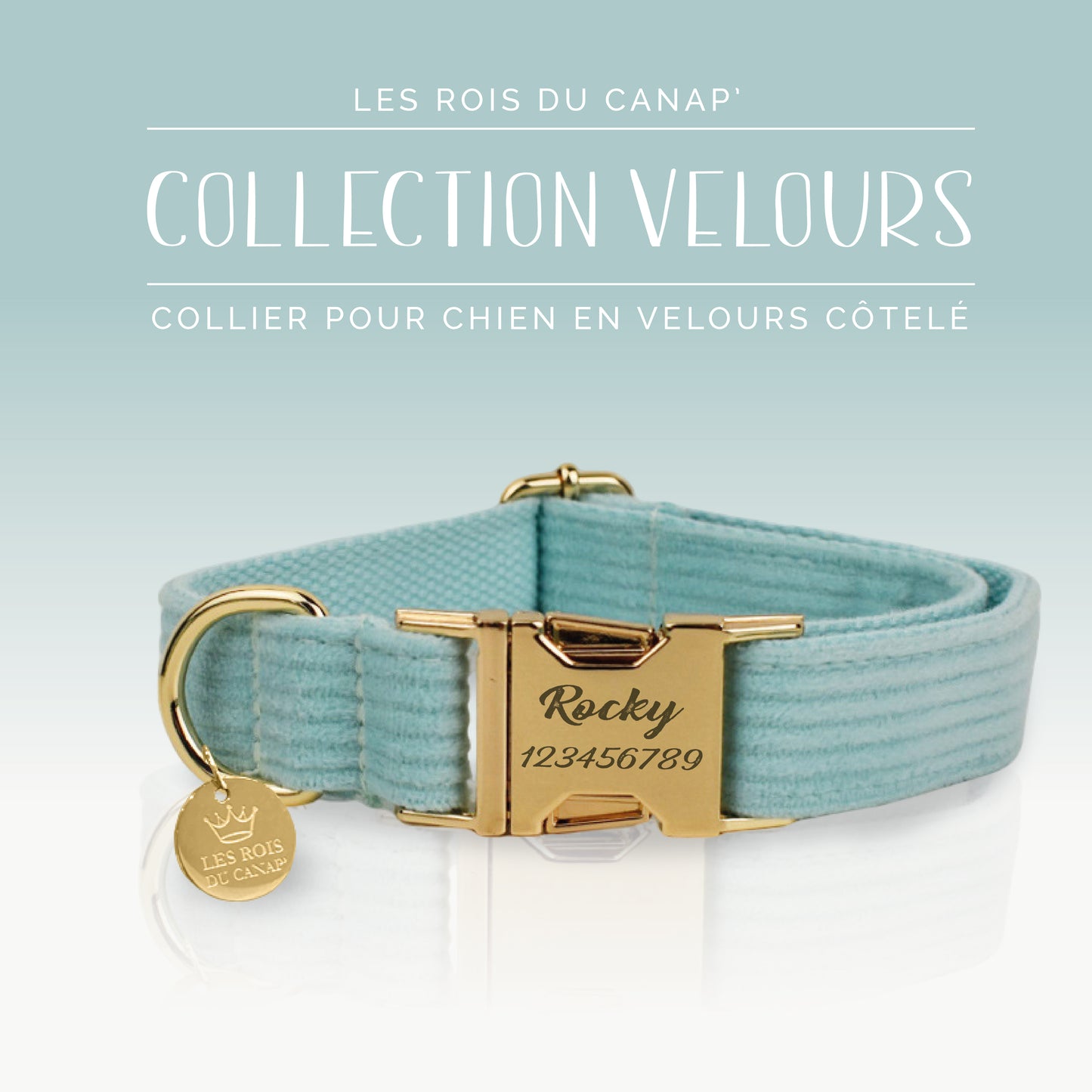 Coffret Cadeau - Kit Complet Promenade Chien - Velours - Vert Menthe