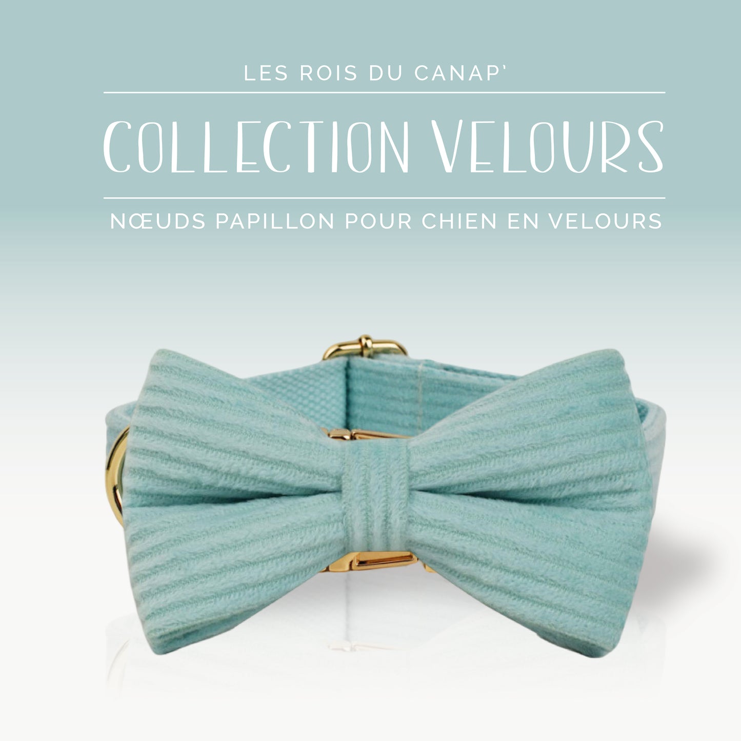 Coffret Cadeau - Kit Complet Promenade Chien - Velours - Vert Menthe