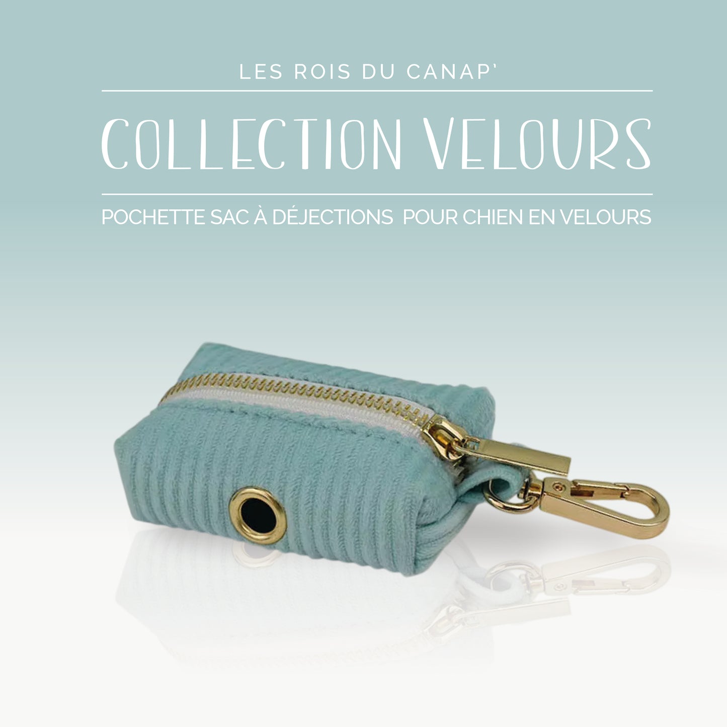Coffret Cadeau - Kit Complet Promenade Chien - Velours - Vert Menthe