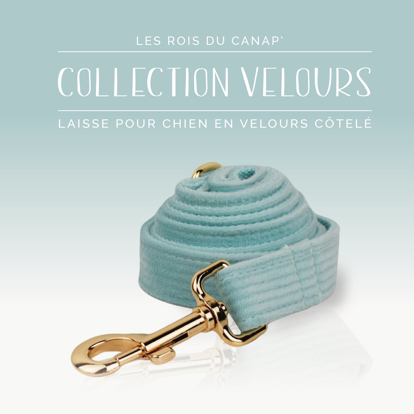 Coffret Cadeau - Kit Complet Promenade Chien - Velours - Vert Menthe