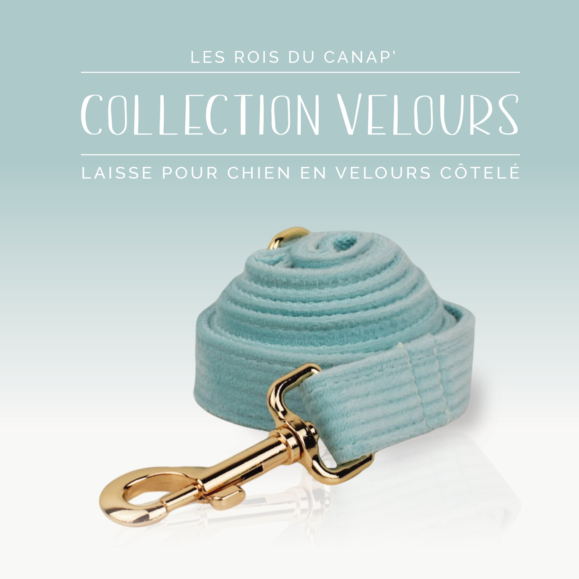 Coffret Cadeau - Kit Complet Promenade Chien - Velours - Vert Menthe