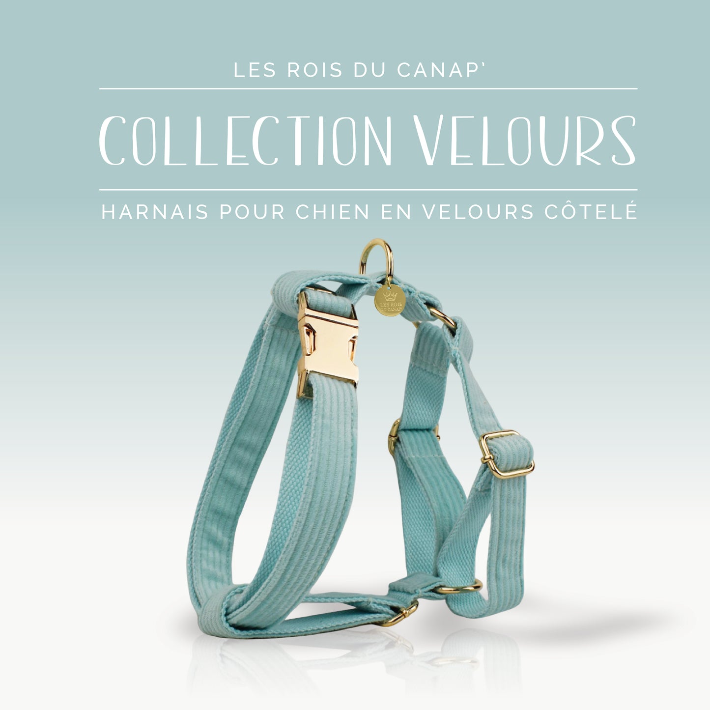 Coffret Cadeau - Kit Complet Promenade Chien - Velours - Vert Menthe