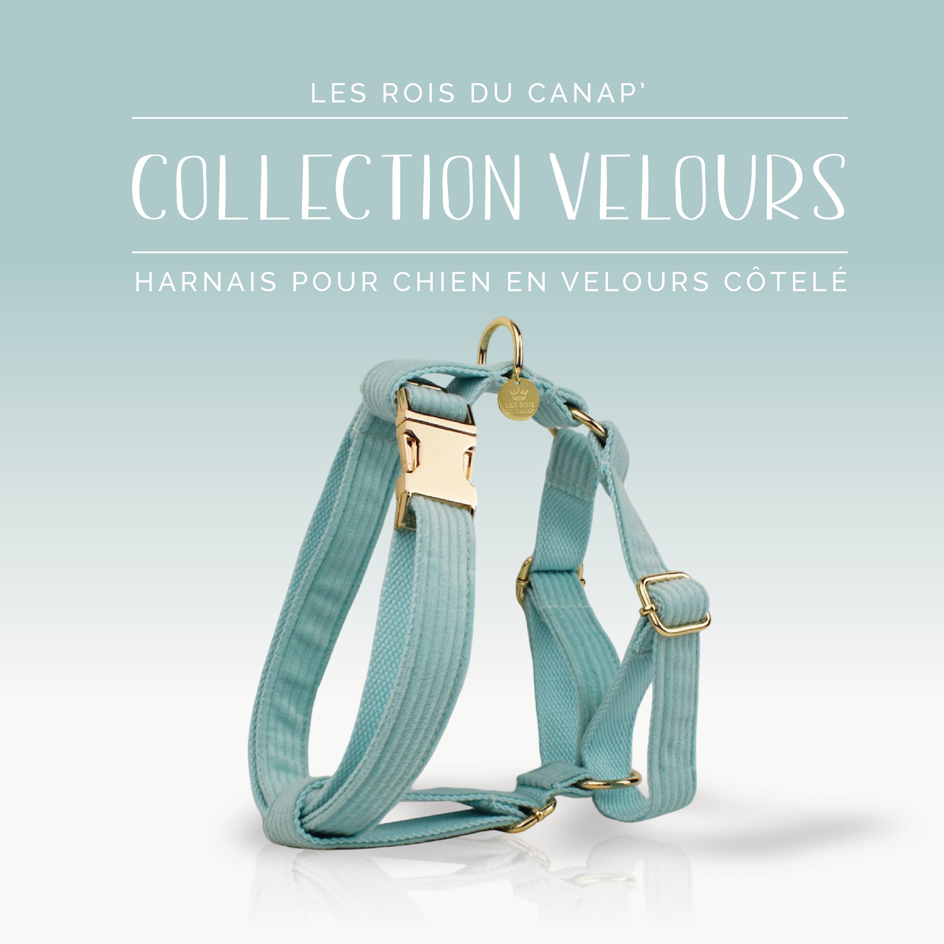 Coffret Cadeau - Kit Complet Promenade Chien - Velours - Vert Menthe