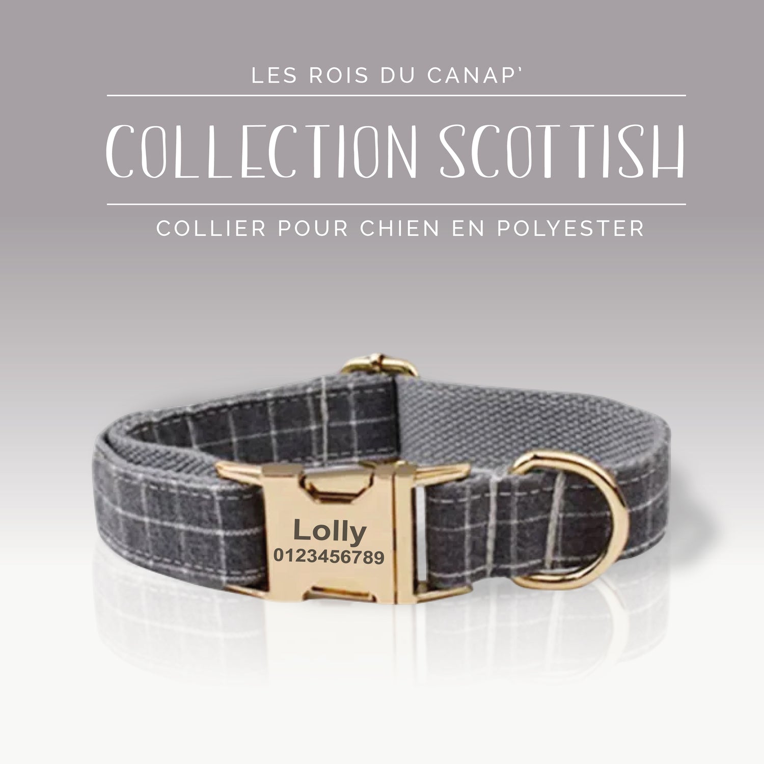Collier Chien Personnalisé - Collection Scottish - Gris