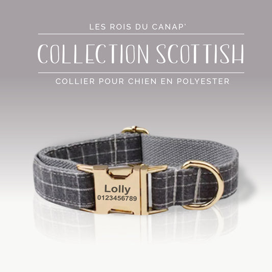 Collier Chien Personnalisé - Collection Scottish - Gris
